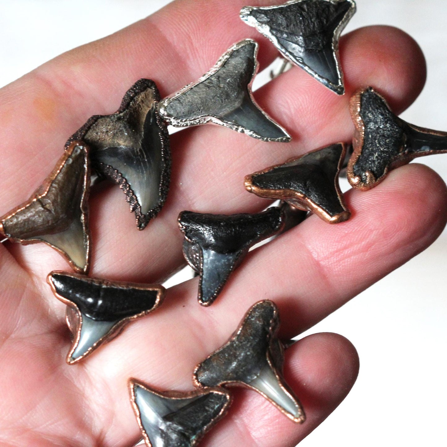 Shark Tooth Cufflinks - Graduation Gift - Sailing Gift - Gift For Him