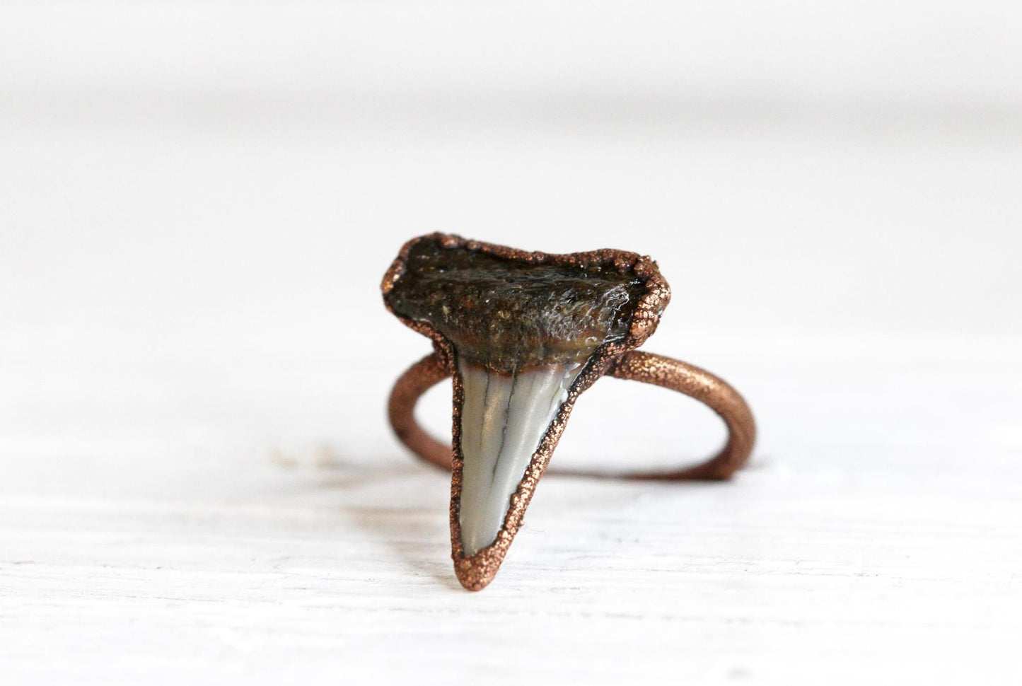 Shark Tooth Ring - Prehistoric Jewelry - Fossilized Tooth - Gift for Ocean Lover