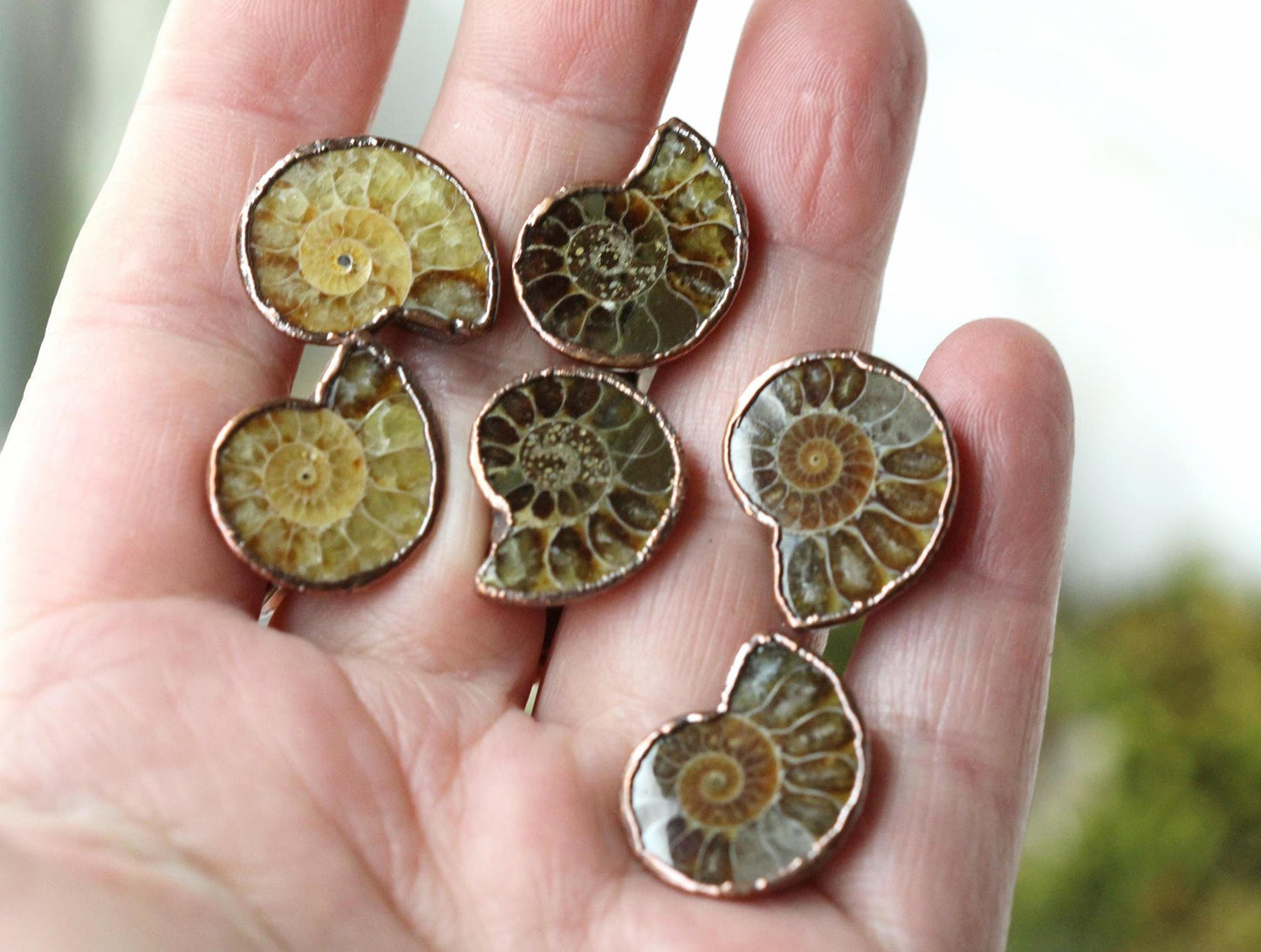 Ammonite Cufflinks - Groom Cufflinks - Groomsmen Gift - Father's Day Gift