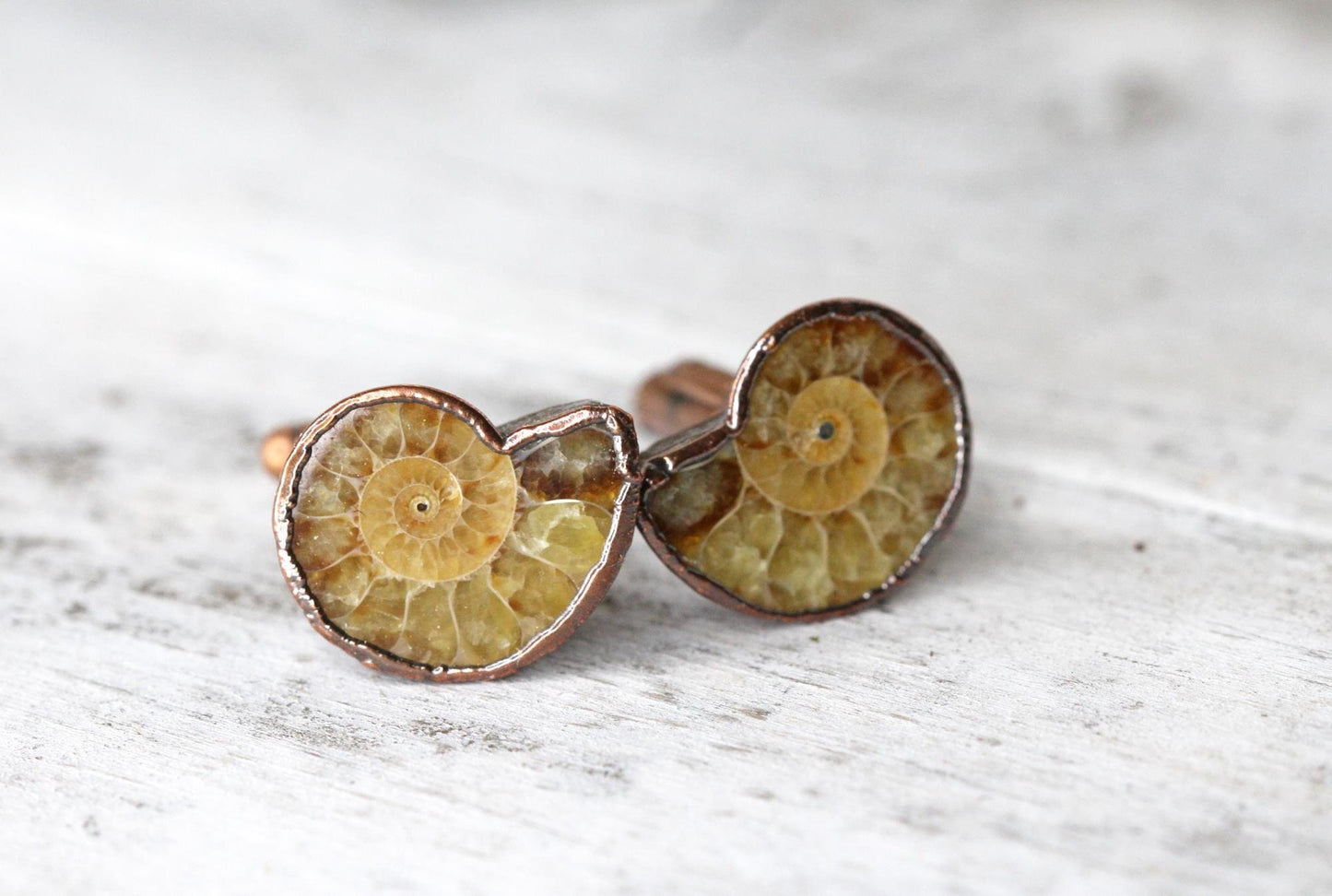 Ammonite Cufflinks - Groom Cufflinks - Groomsmen Gift - Father's Day Gift