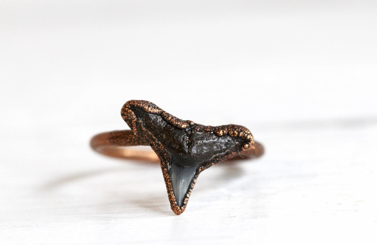 Shark Tooth Ring - Prehistoric Jewelry - Fossilized Tooth - Gift for Ocean Lover