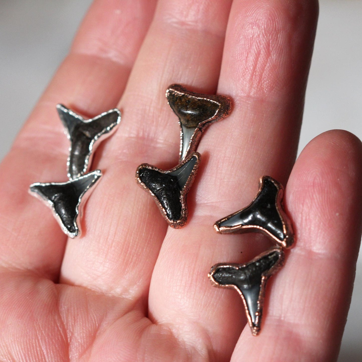 Shark Tooth Stud Earrings - Sterling Silver Earrings - Ocean Lover Gift