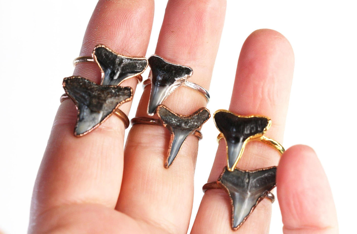 Shark Tooth Ring - Prehistoric Jewelry - Fossilized Tooth - Gift for Ocean Lover