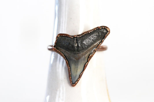Shark Tooth Ring - Prehistoric Jewelry - Fossilized Tooth - Gift for Ocean Lover