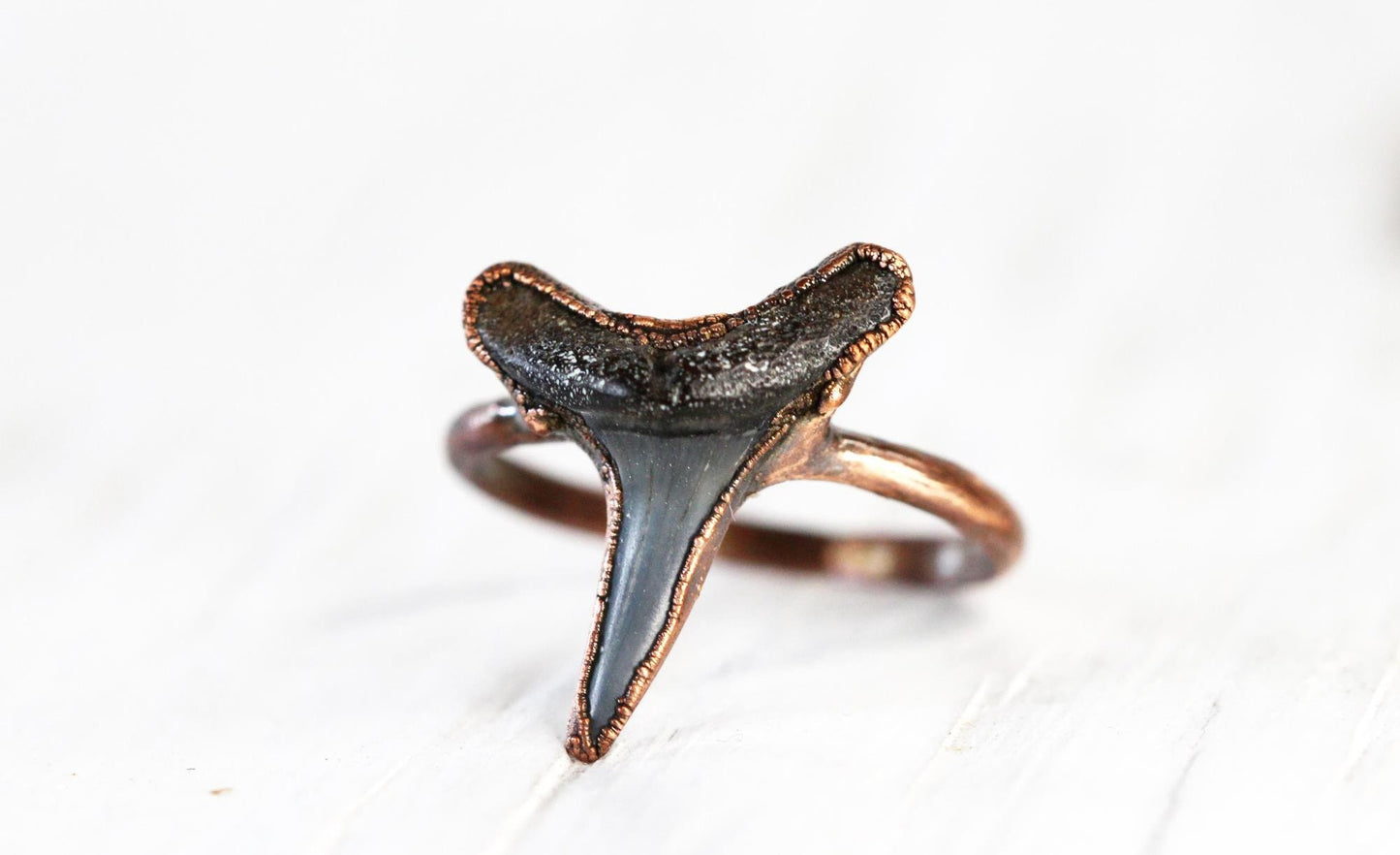 Shark Tooth Ring - Prehistoric Jewelry - Fossilized Tooth - Gift for Ocean Lover