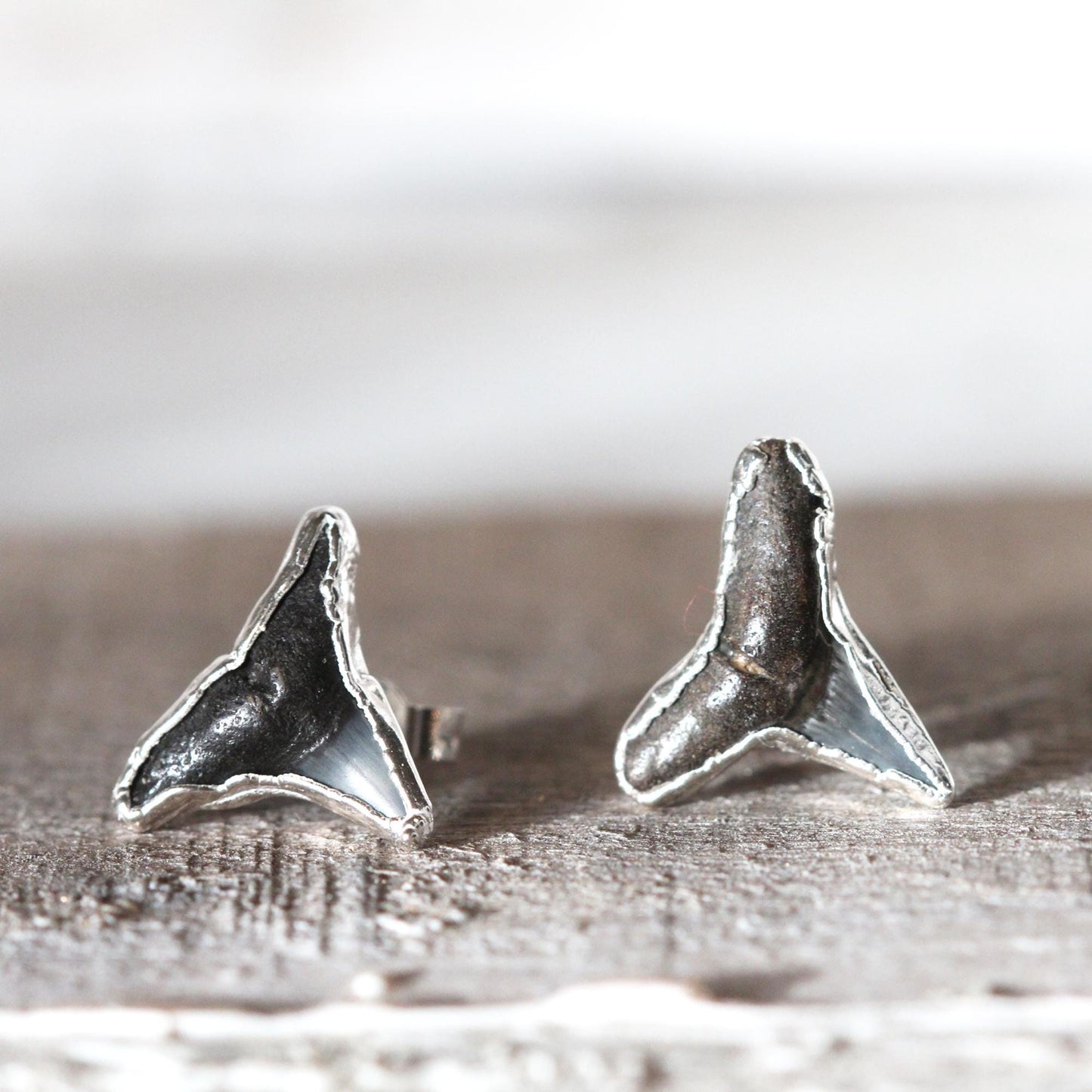 Shark Tooth Stud Earrings - Sterling Silver Earrings - Ocean Lover Gift