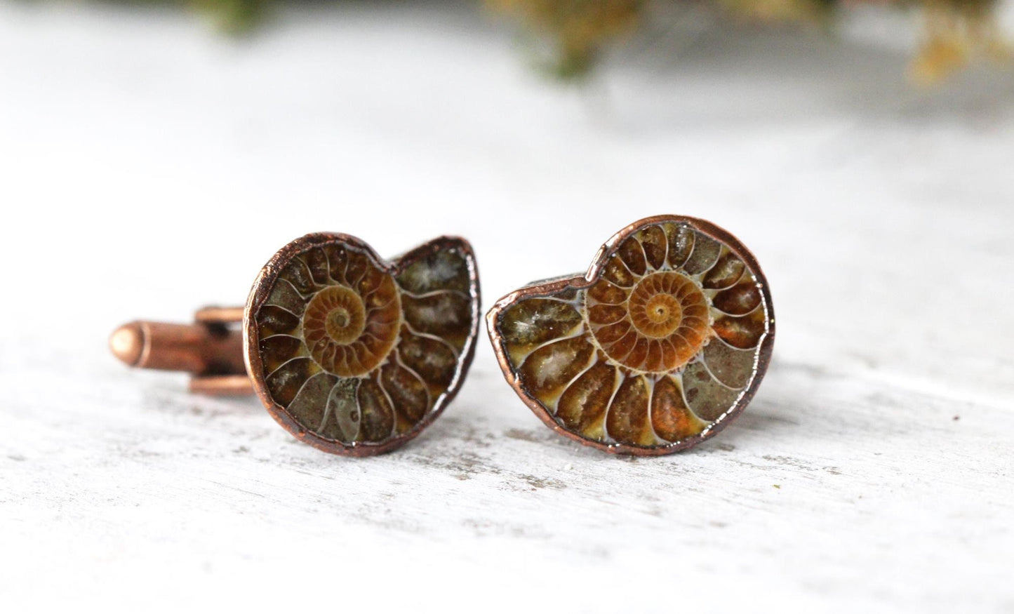 Ammonite Cufflinks - Groom Cufflinks - Groomsmen Gift - Father's Day Gift