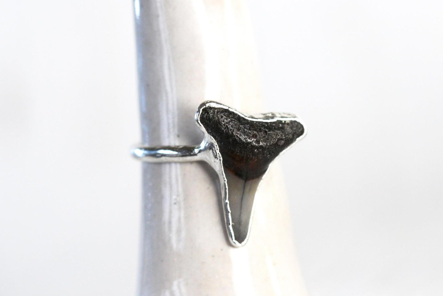 Shark Tooth Ring - Prehistoric Jewelry - Fossilized Tooth - Gift for Ocean Lover