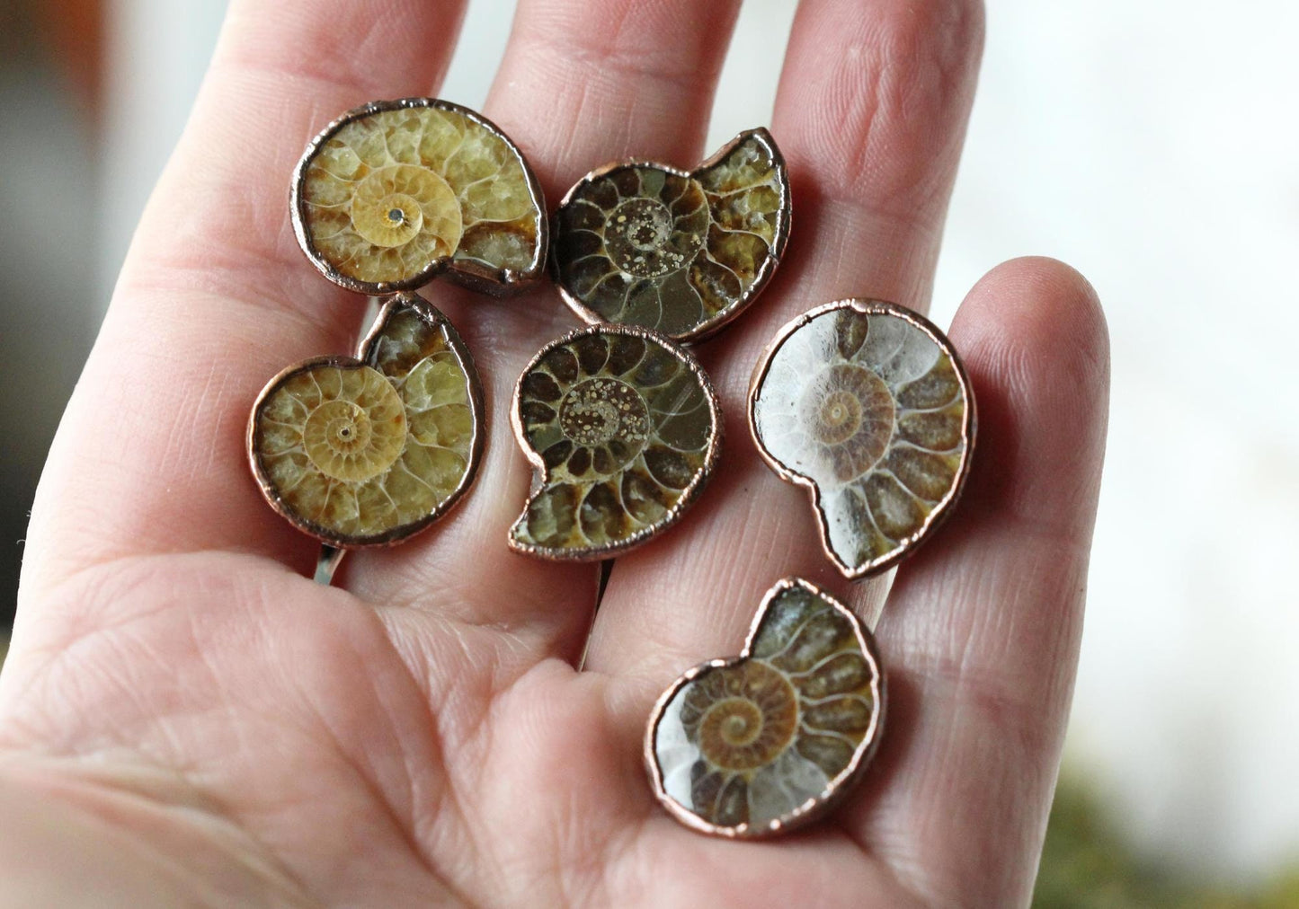 Ammonite Cufflinks - Groom Cufflinks - Groomsmen Gift - Father's Day Gift