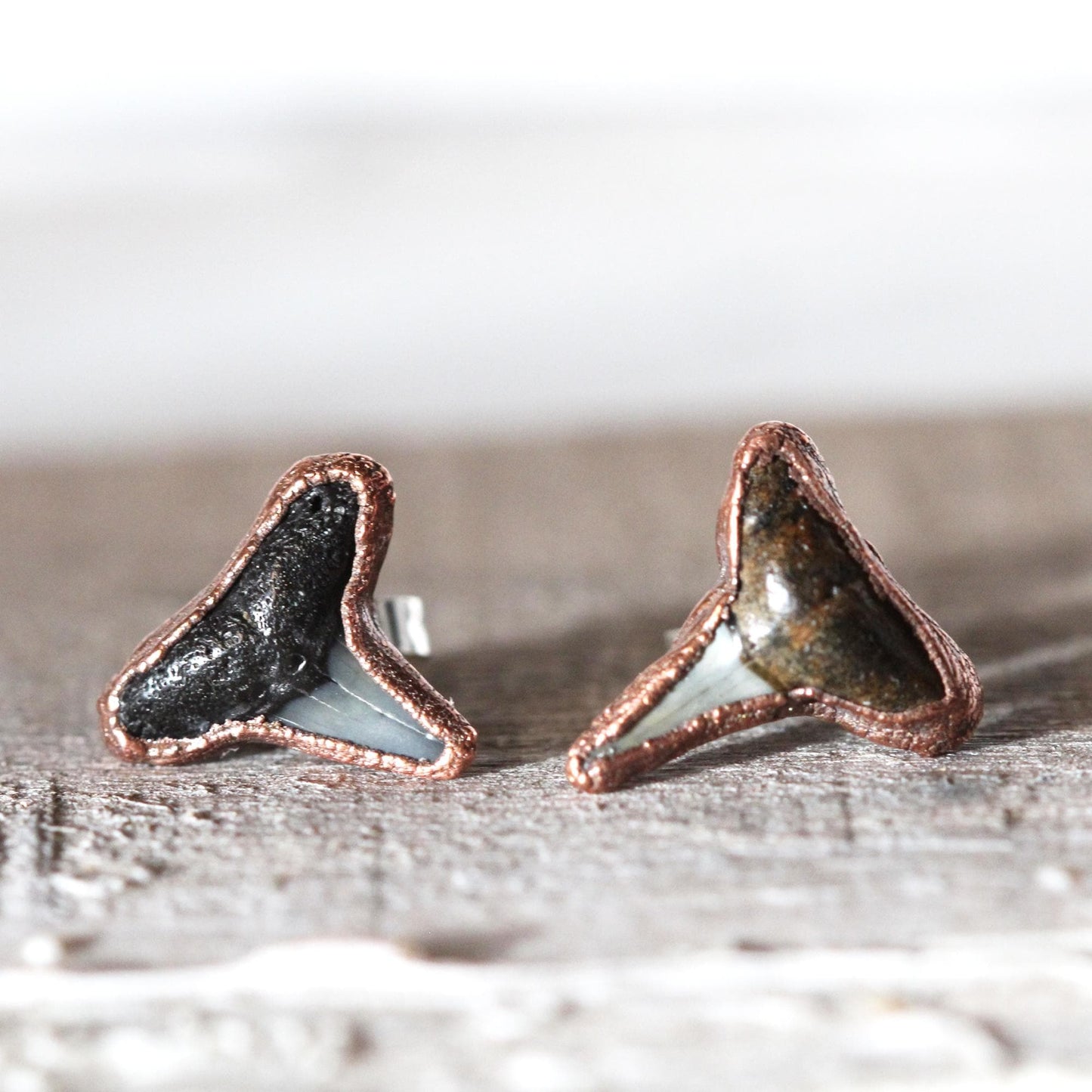 Shark Tooth Stud Earrings - Sterling Silver Earrings - Ocean Lover Gift
