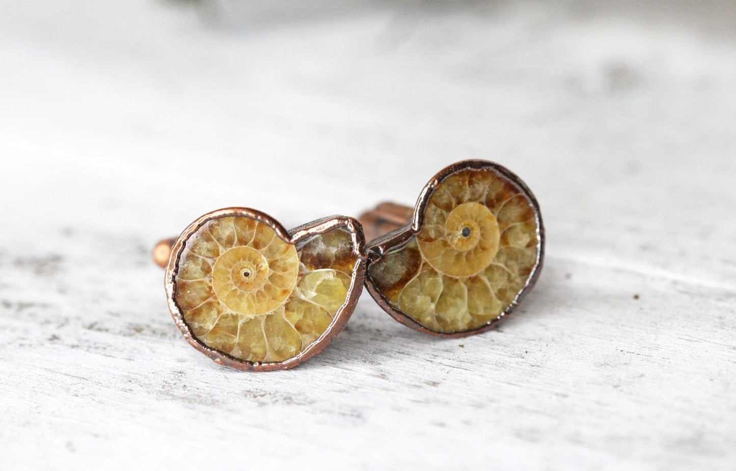 Ammonite Cufflinks - Groom Cufflinks - Groomsmen Gift - Father's Day Gift