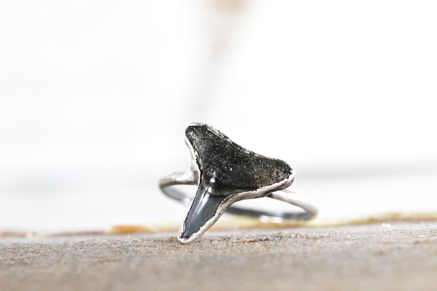 Shark Tooth Ring - Prehistoric Jewelry - Fossilized Tooth - Gift for Ocean Lover