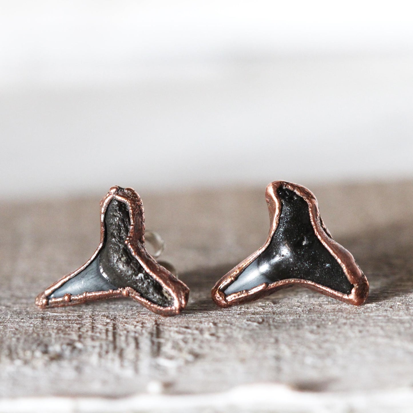 Shark Tooth Stud Earrings - Sterling Silver Earrings - Ocean Lover Gift